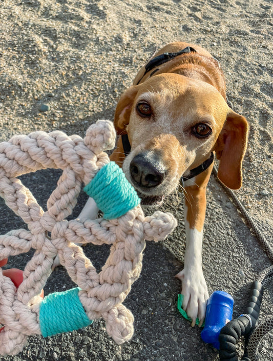 Ship Wheel Rope Toy